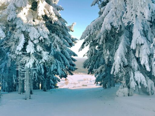 Zdjęcie do artykułu: Gdzie na narty w Polsce – najlepsze ośrodki zimowe