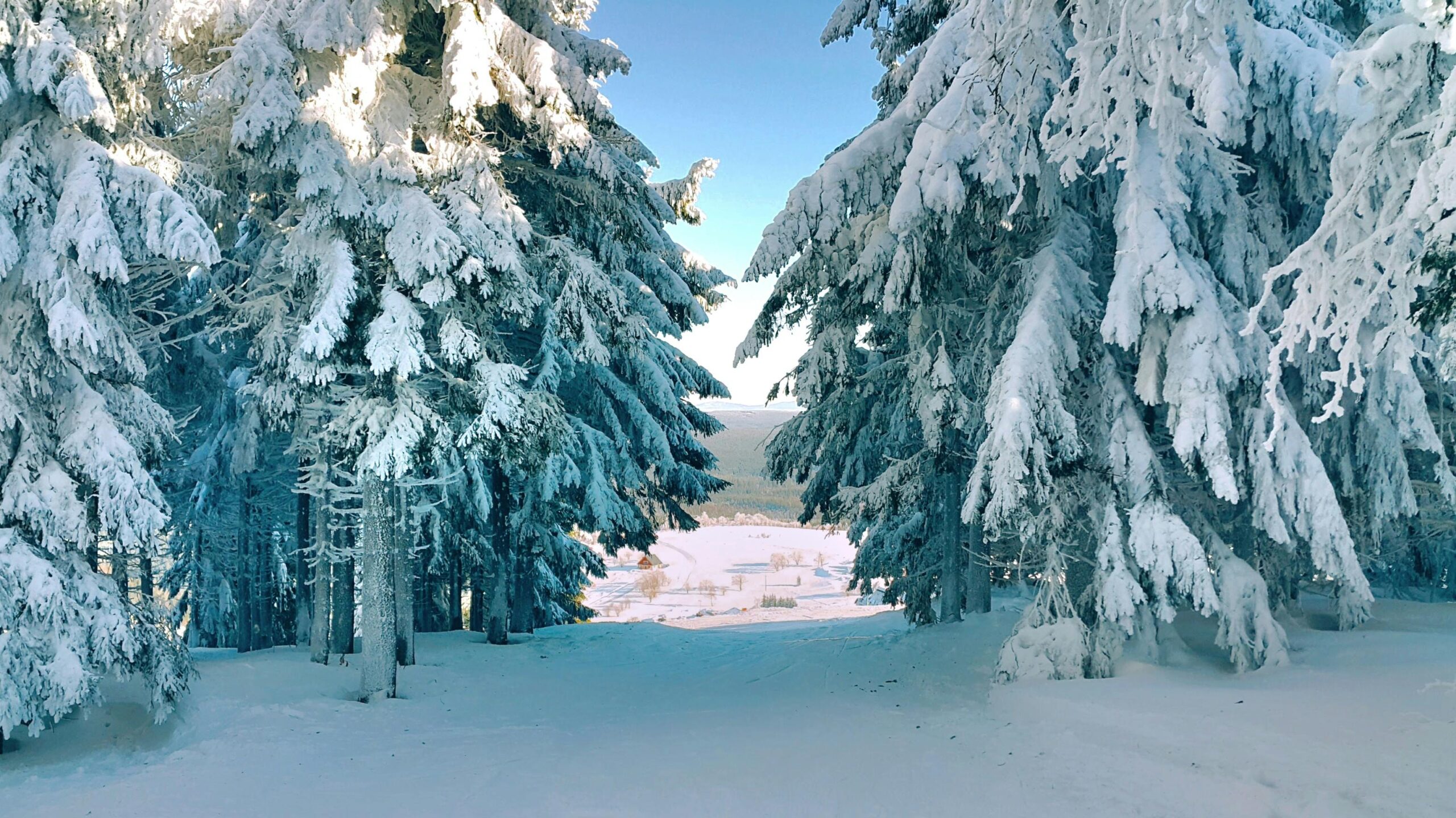 Zdjęcie do artykułu: Gdzie na narty w Polsce – najlepsze ośrodki zimowe